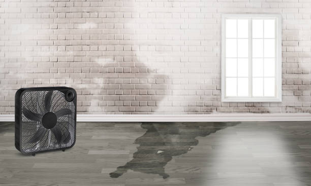 Best Water damage restoration specialists  in Glens Falls, NY
