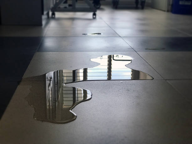 Best Professional water damage repair  in Glens Falls, NY