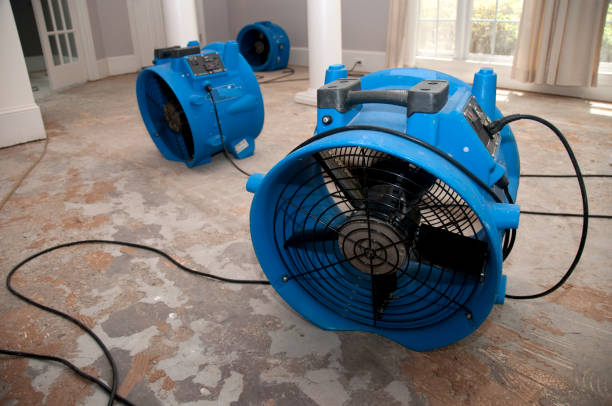 Best Flooded house restoration  in Glens Falls, NY