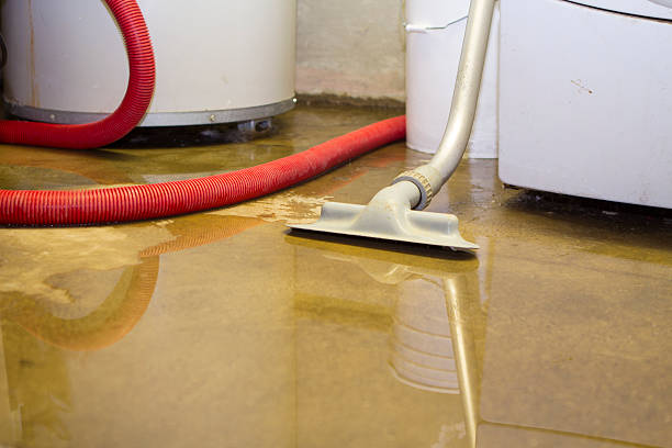 Best Carpet water damage restoration  in Glens Falls, NY