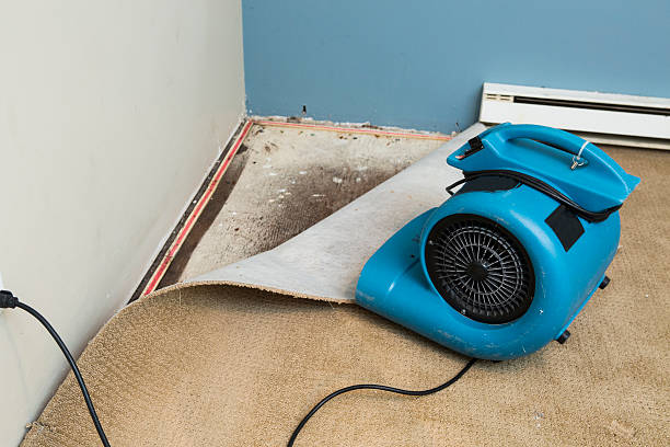 Best Water damage restoration near me  in Glens Falls, NY